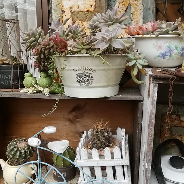 haruiroさんの部屋