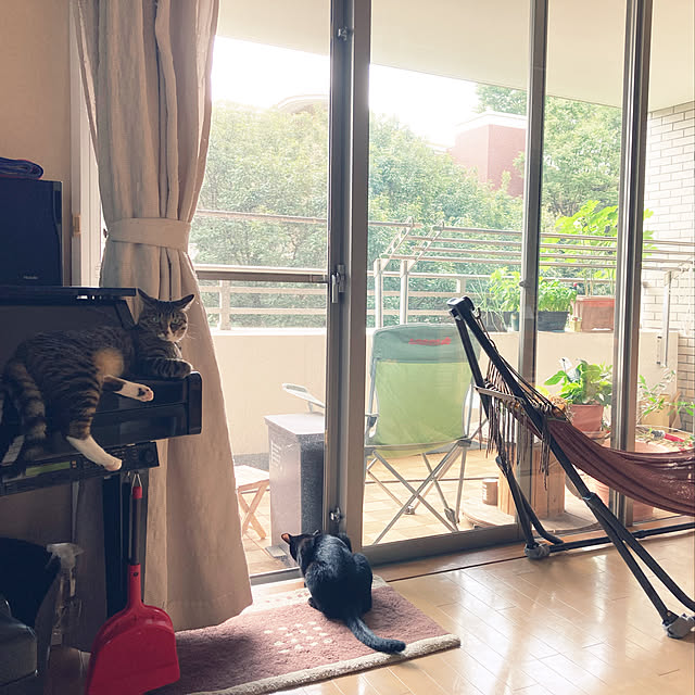suemonta14さんの実例写真