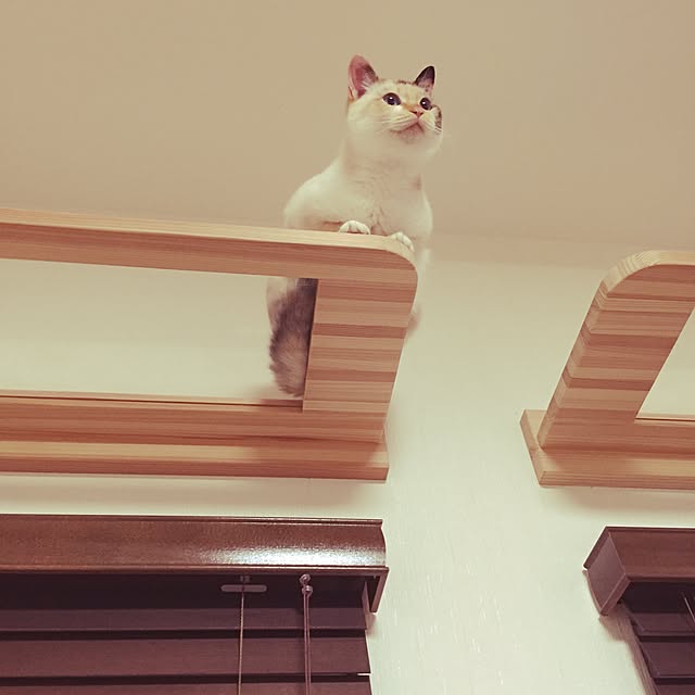 OkakaDさんの実例写真