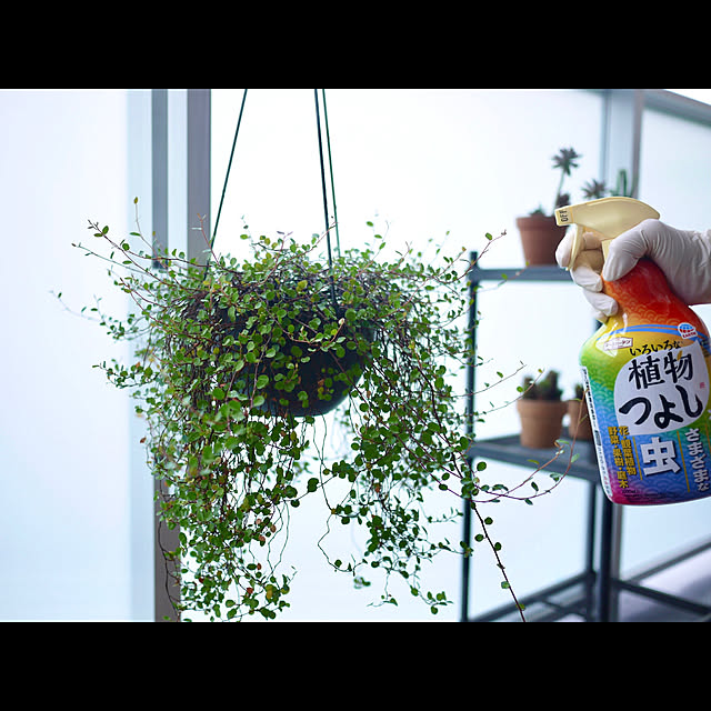 haraさんの部屋