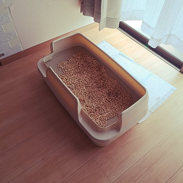 kiyohima229さんの実例写真
