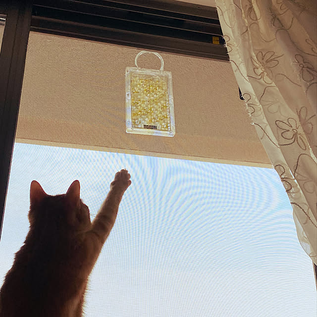 naturalさんの実例写真