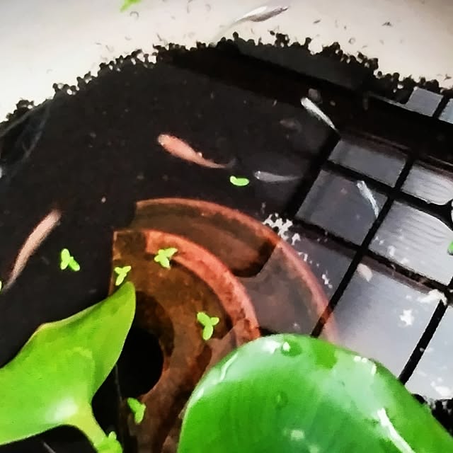 katさんの部屋