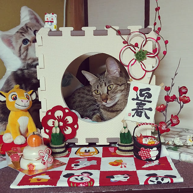 tantomeenさんの実例写真