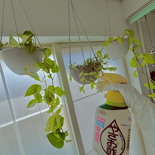 masamasaさんの部屋