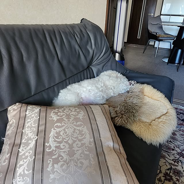 takoさんの実例写真