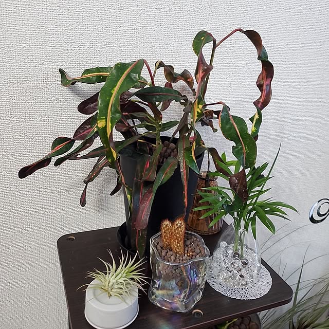 Riokaさんの実例写真