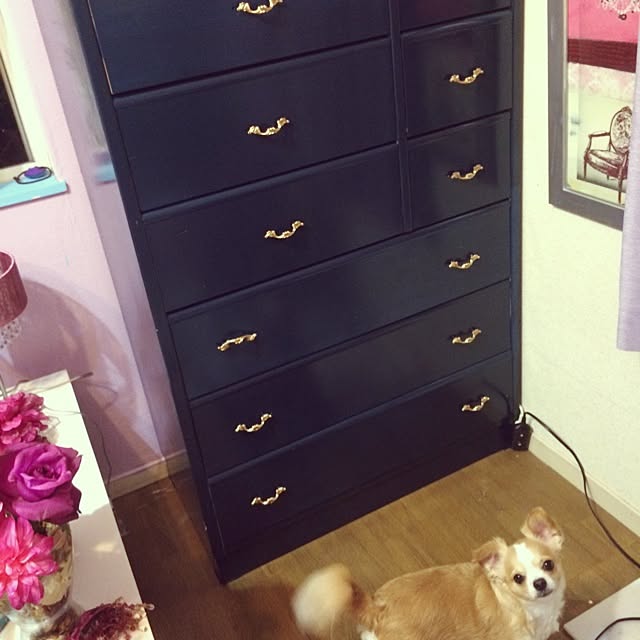 Reineさんの実例写真
