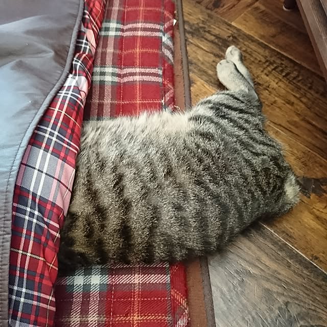 torao.jdさんの実例写真