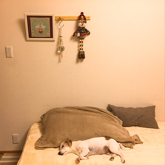 nanaさんの実例写真