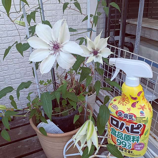 Bienvenueさんの実例写真