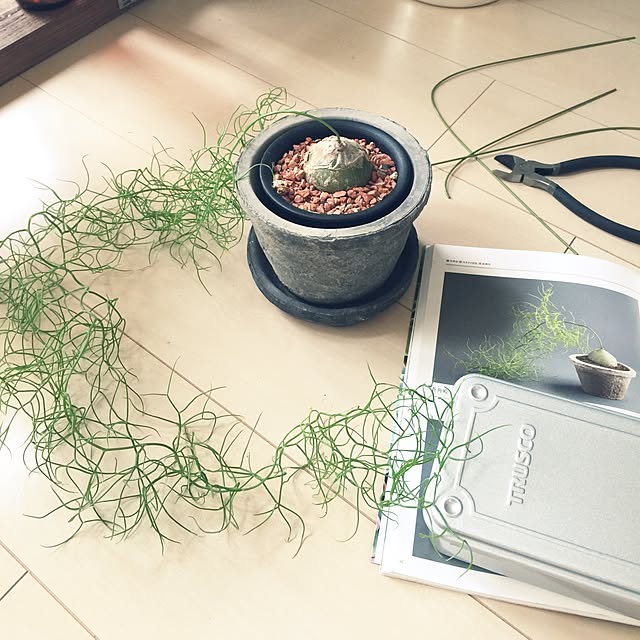 marley0209さんの実例写真