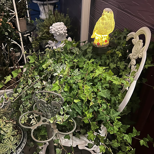 AYUKOさんの部屋