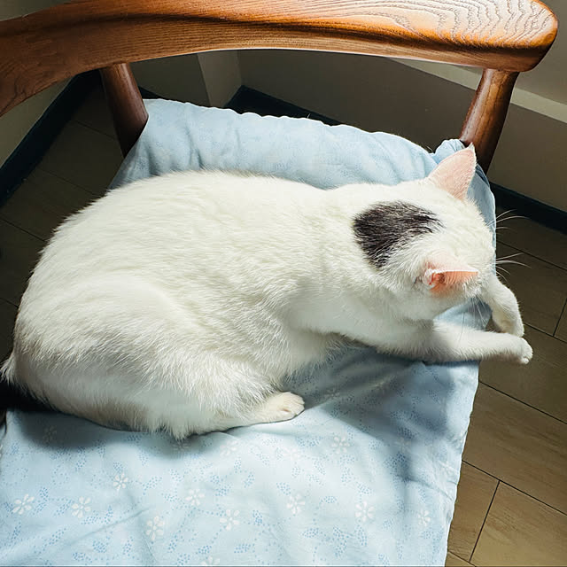 pcu110さんの部屋