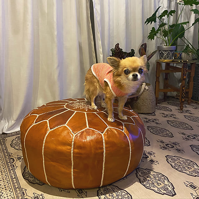 Kさんの実例写真