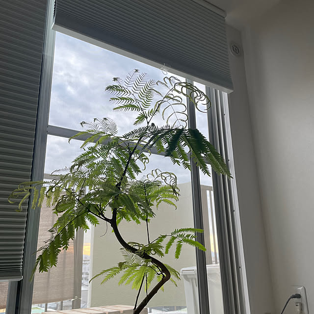 nocoさんの部屋
