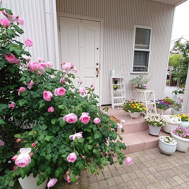 fleur-mamanさんの実例写真
