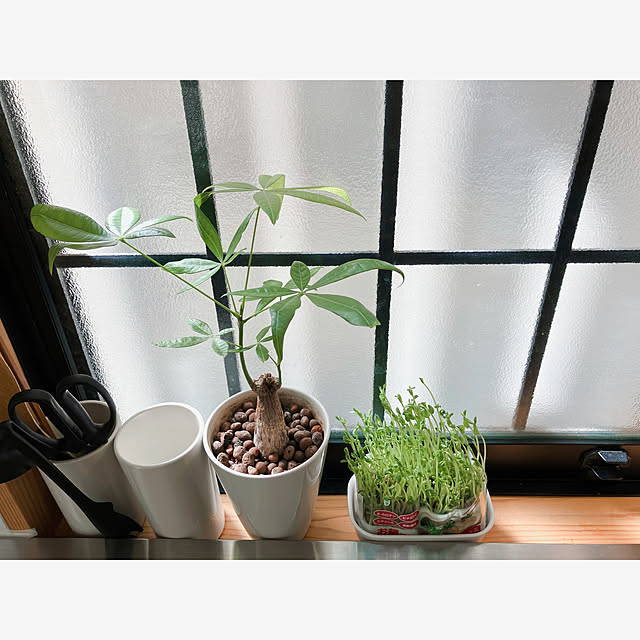akanekoさんの部屋