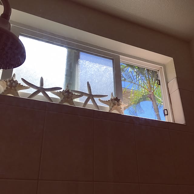 shinobuさんの実例写真