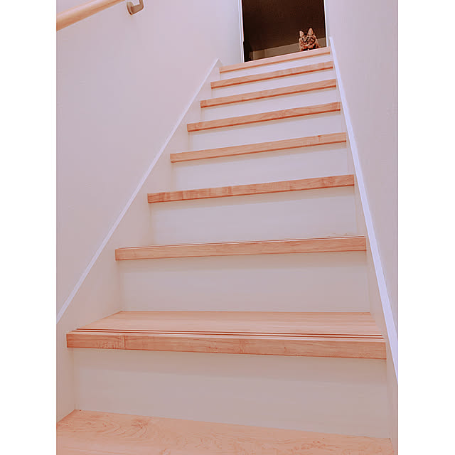 Harukaさんの実例写真