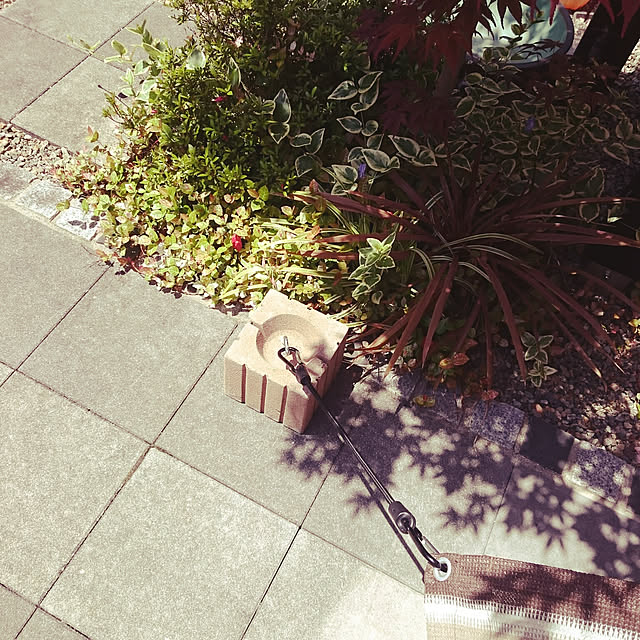wakaba223さんの実例写真