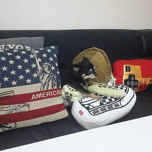 haruharuさんの実例写真