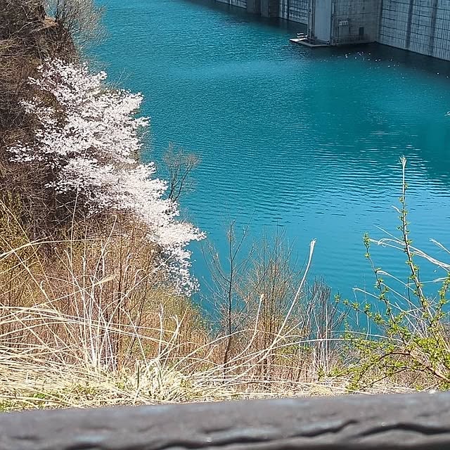 minnieさんの部屋