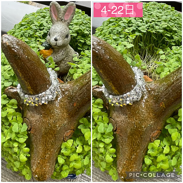 aureaさんの実例写真