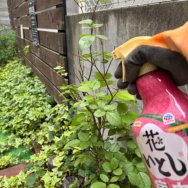 kakamiさんの実例写真