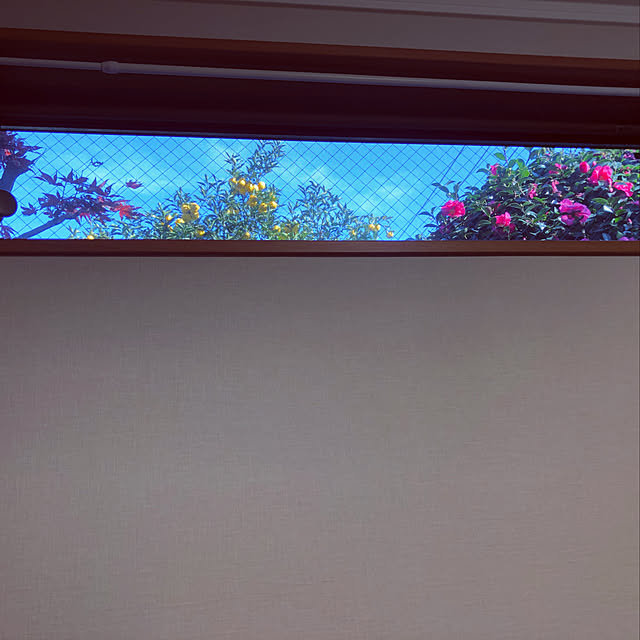 183さんの実例写真