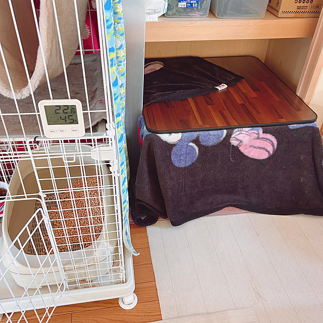 prelumoさんの実例写真