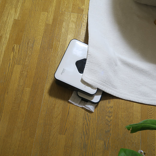ficus38さんの実例写真
