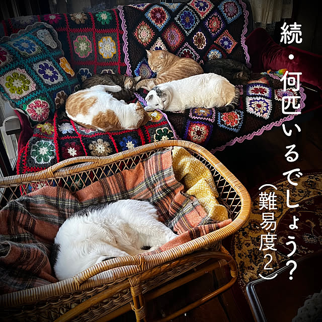 marusanさんの実例写真