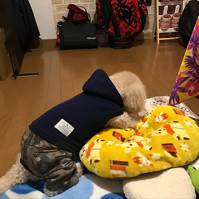 yuki89さんの実例写真