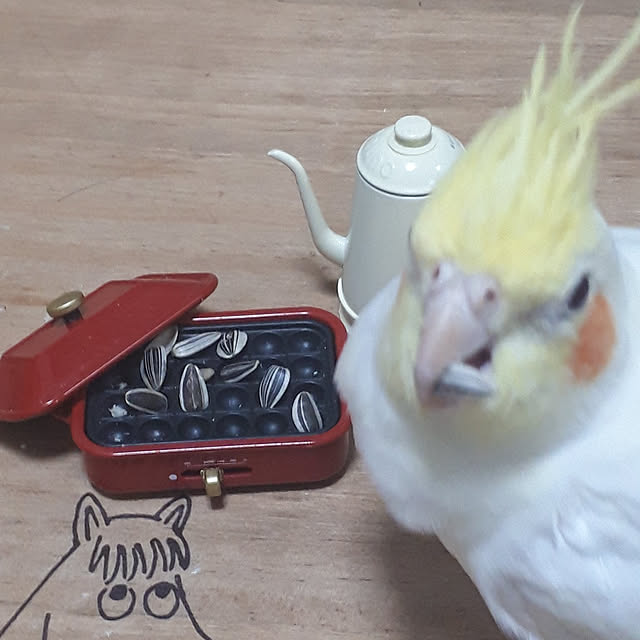ANTENNAさんの実例写真