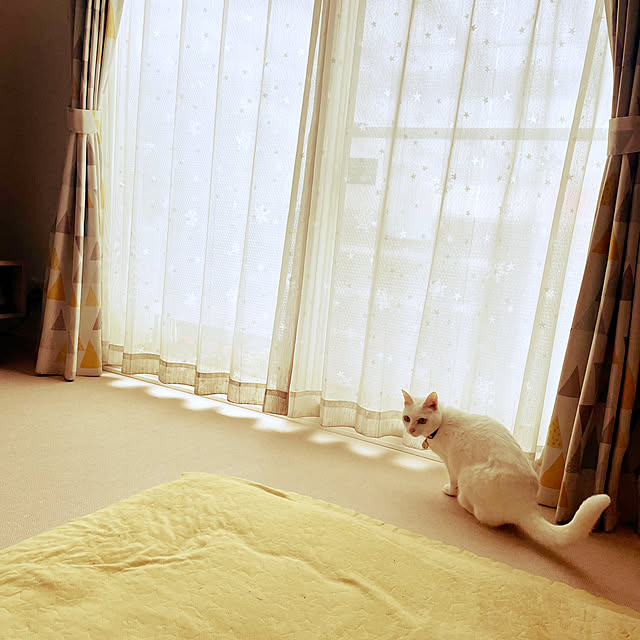 Maiさんの部屋