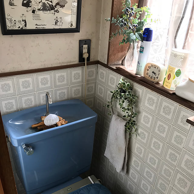 colorさんの実例写真