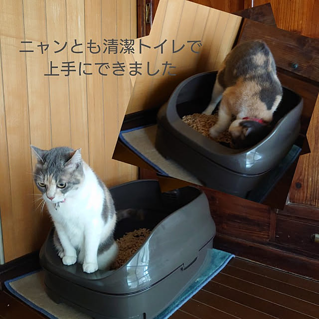 fukuさんの実例写真
