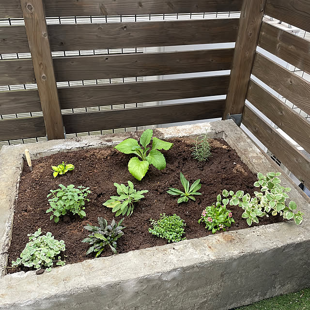 SOHSAさんの実例写真