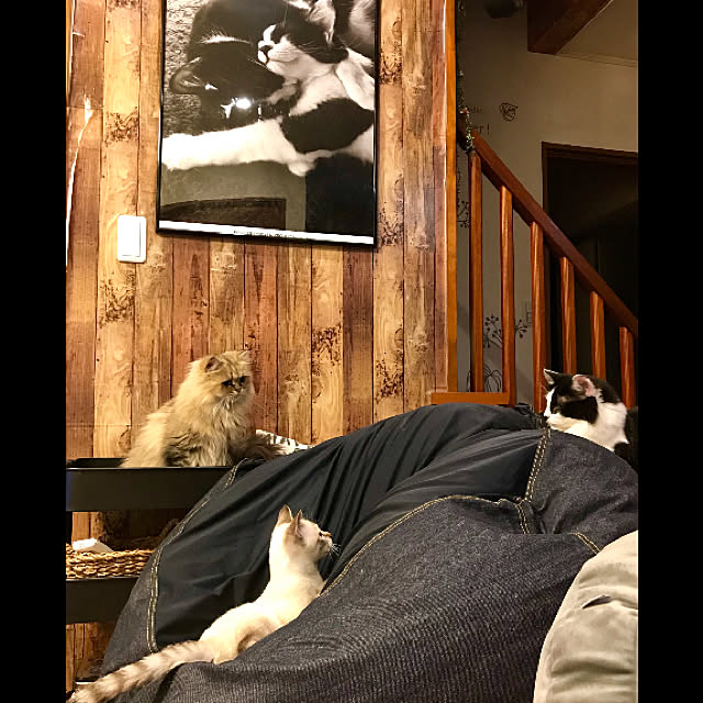 butachanさんの実例写真