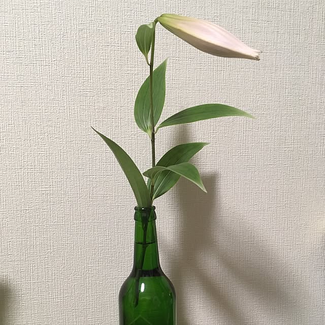 Ryokoさんの実例写真