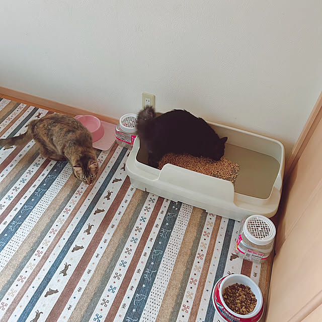 prelumoさんの実例写真