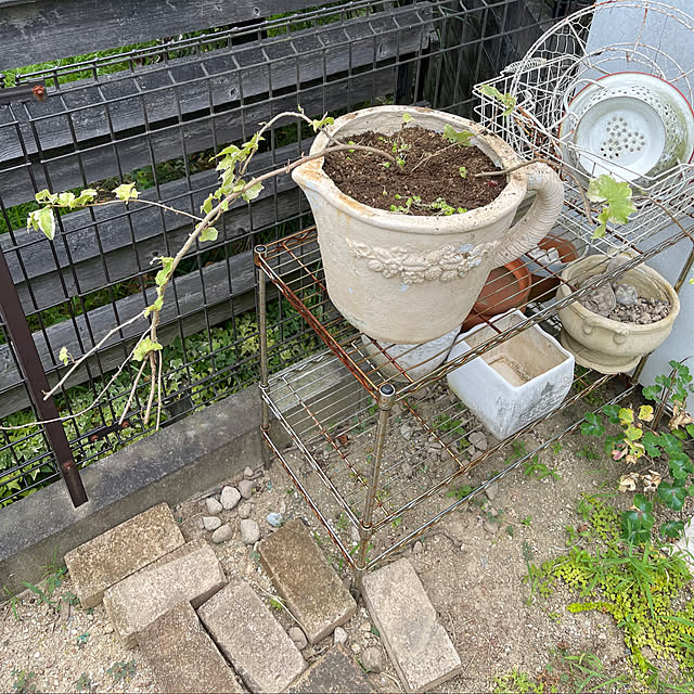 kikiさんの部屋