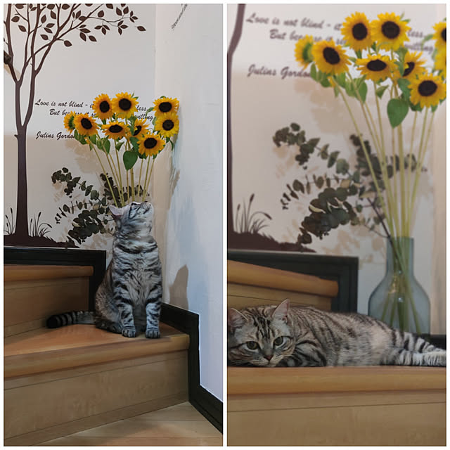 hiro3さんの実例写真
