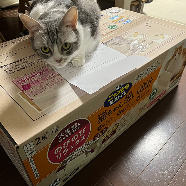Atelier.mさんの実例写真