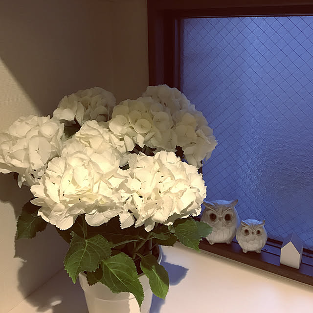 rinrinさんの実例写真
