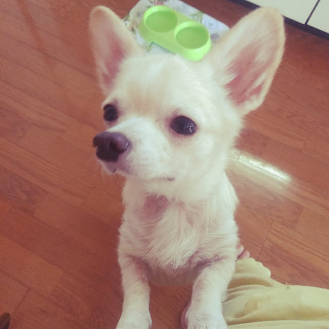 LiSAさんの実例写真