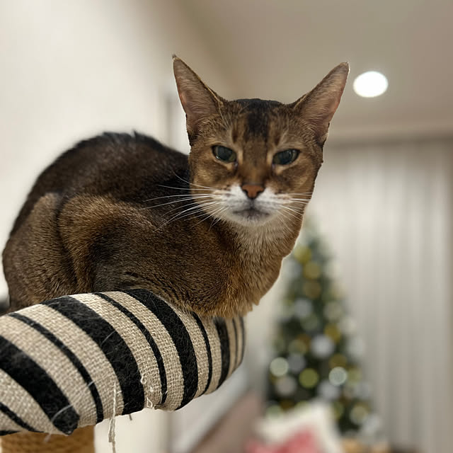 lucianoさんの部屋