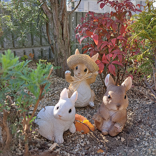 rinaさんの実例写真
