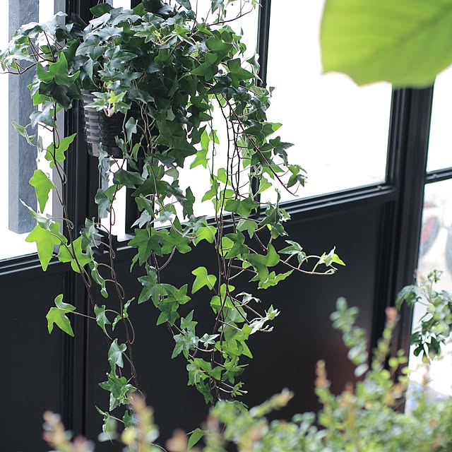 Junk_sweet_Garden_teftefさんの実例写真